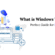 What-is-Windows-VPS-Hosting