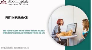 pet insurance