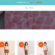 baby girl dress