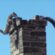 chimney animal removal