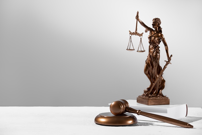 Property Lawyer
