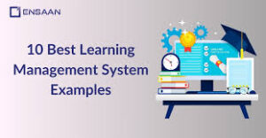learning management system examples