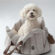 dog car carrier