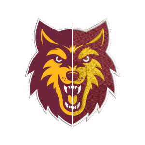 online embroidery digitizing