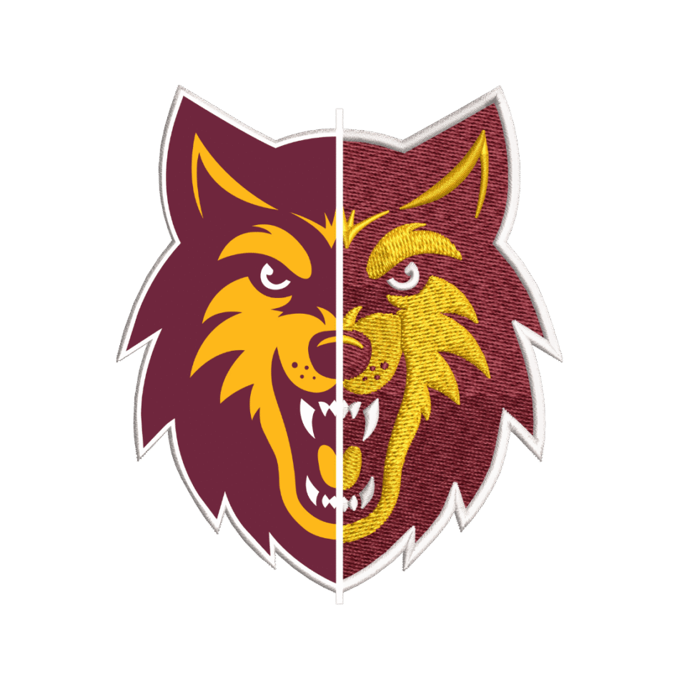 online embroidery digitizing