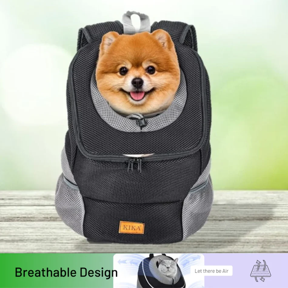 small pet carrier