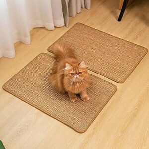 cat scratcher