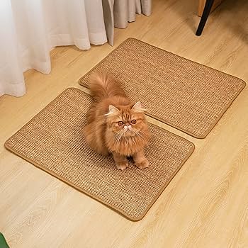 cat scratcher