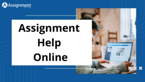 assignment helper Ireland