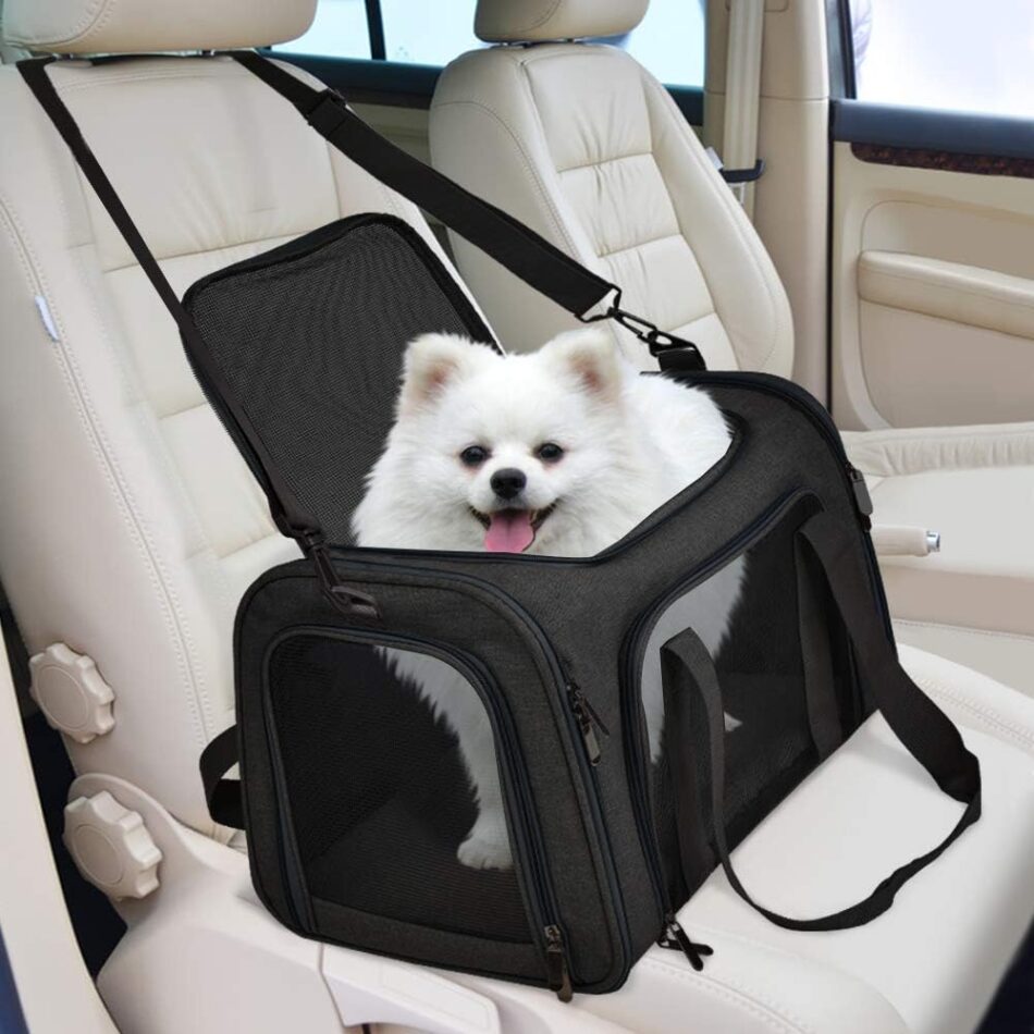 dog carrier