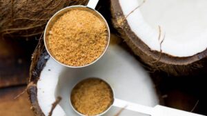 Coconut Sugar Manufacturing Plant