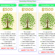 Tree Investment