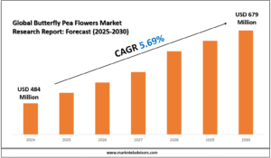 Global Butterfly Pea Flowers Market Research Report