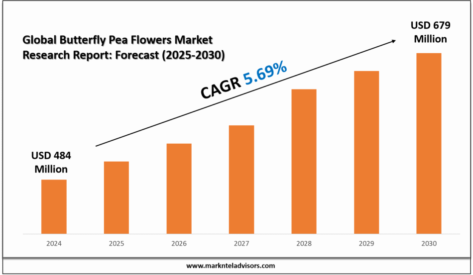 Global Butterfly Pea Flowers Market Research Report