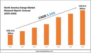North America Orange Market