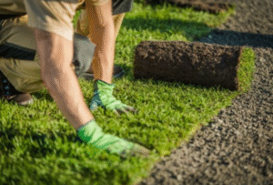 Lawn Installation Ipswich