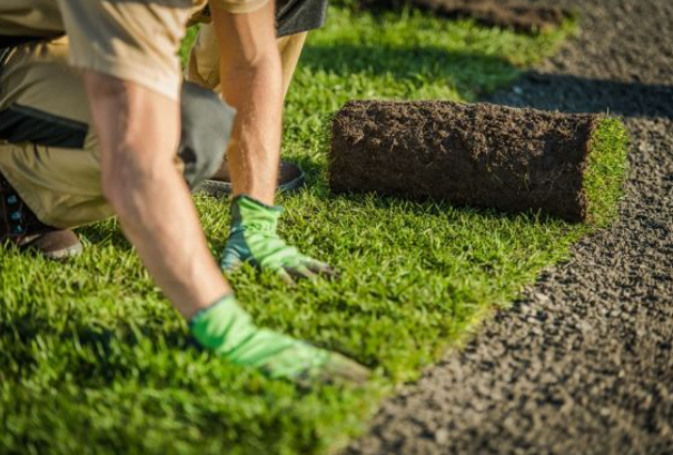 Lawn Installation Ipswich