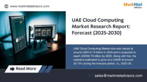 UAE Cloud Computing Market