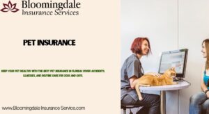 pet insurance