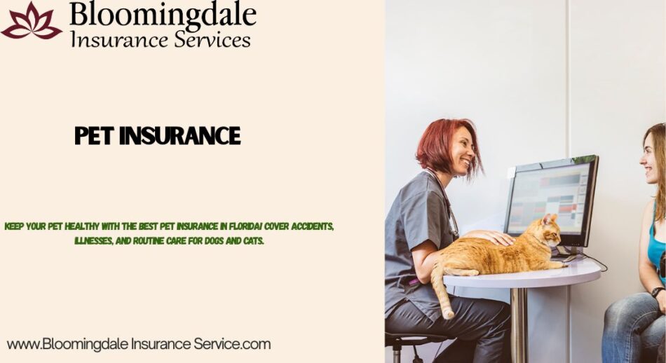 pet insurance
