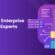 Why Your Enterprise Needs ML Experts