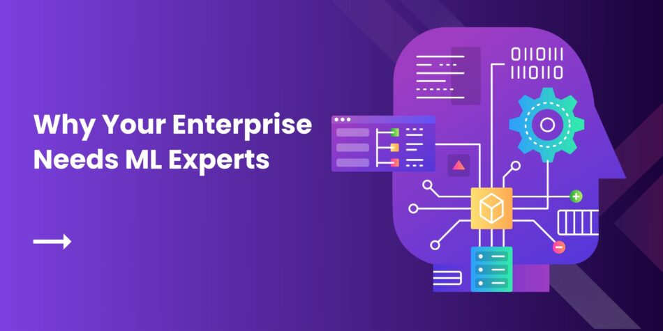 Why Your Enterprise Needs ML Experts