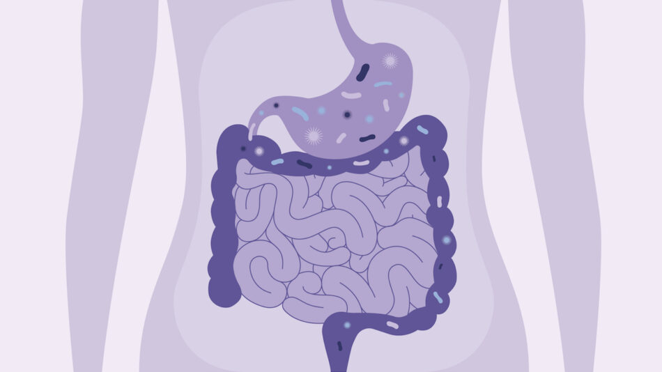 Best Gastroenterologist in Jaipur