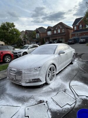 mobile car detailing