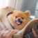 front pet carrier for small dogs