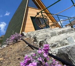 wooden cabins