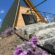 wooden cabins