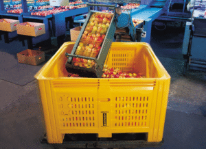 standard pallet size