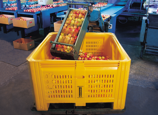 standard pallet size