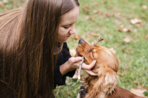 Wild Creature Healing