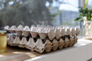 Egg Tray Manufacturing Plant