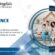 Home Insurance