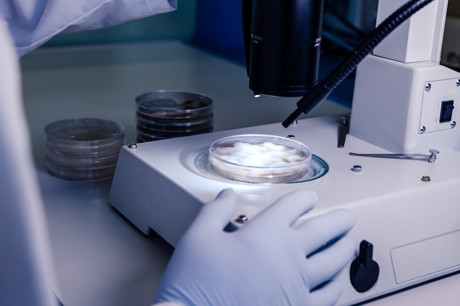 Hydrolyzed Collagen Manufacturing Plant