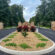 landscape gardener