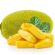Jackfruit Processing Plant
