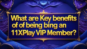 Key Benefits of Being an 11xplay VIP Member
