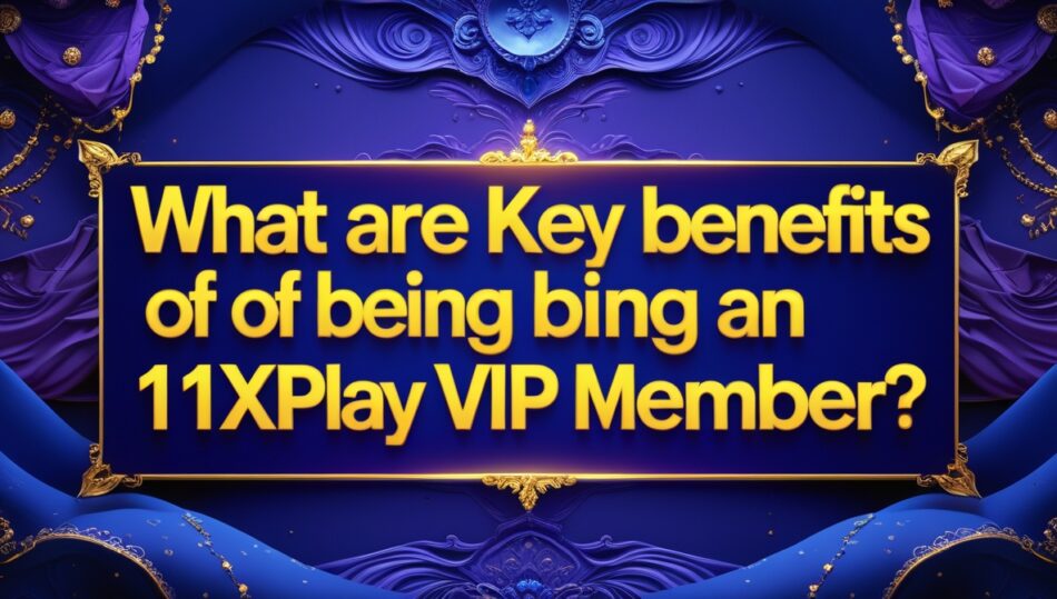 Key Benefits of Being an 11xplay VIP Member