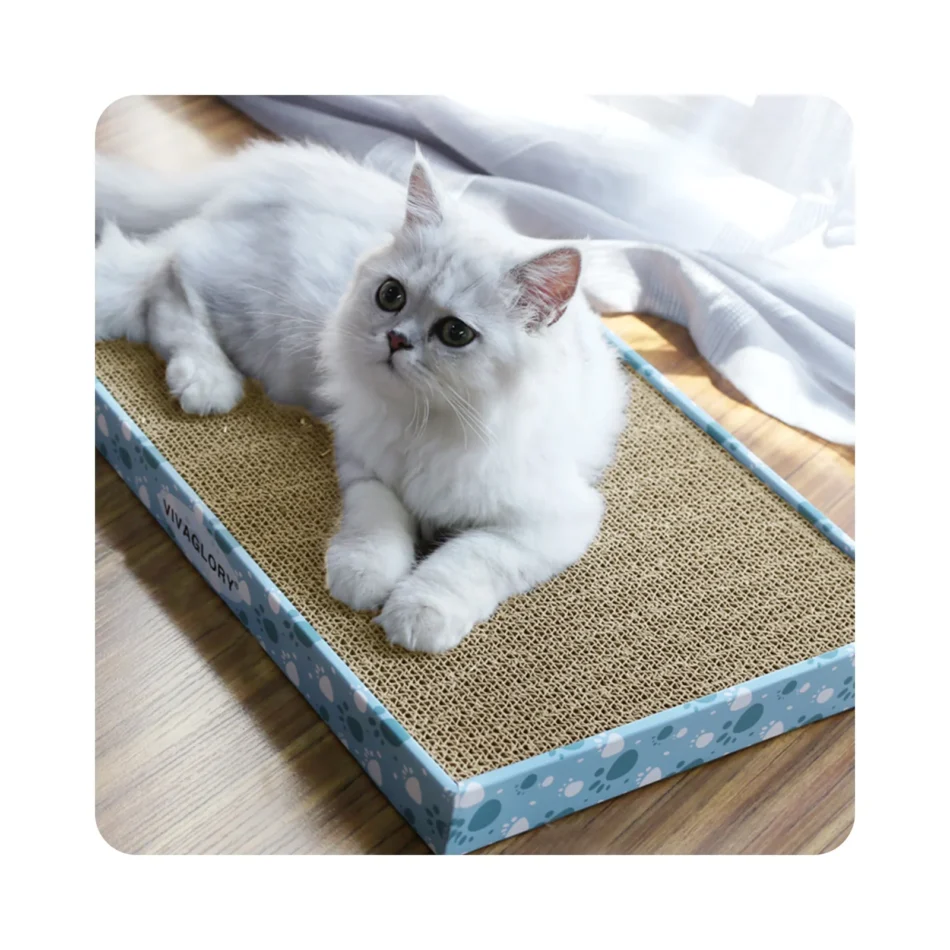 cat scratcher