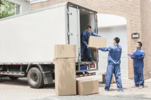 Professional Movers And Packers in Dubai