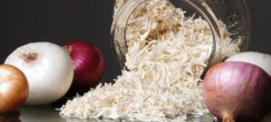 Onion Flakes Manufacturing Plant