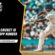 Online Cricket ID WhatsApp Number