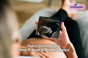 protein during pregnancy