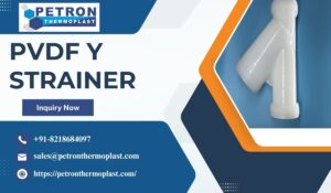 PVDF Y Strainer