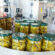Pickles Manufacturing Plant