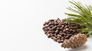 Pine Nut Processing Plant