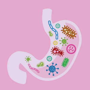 The effects of parasitic worms on the human digestive system